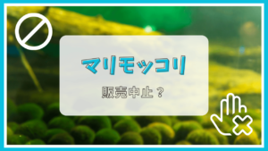 マリモッコリが販売中止って本当？